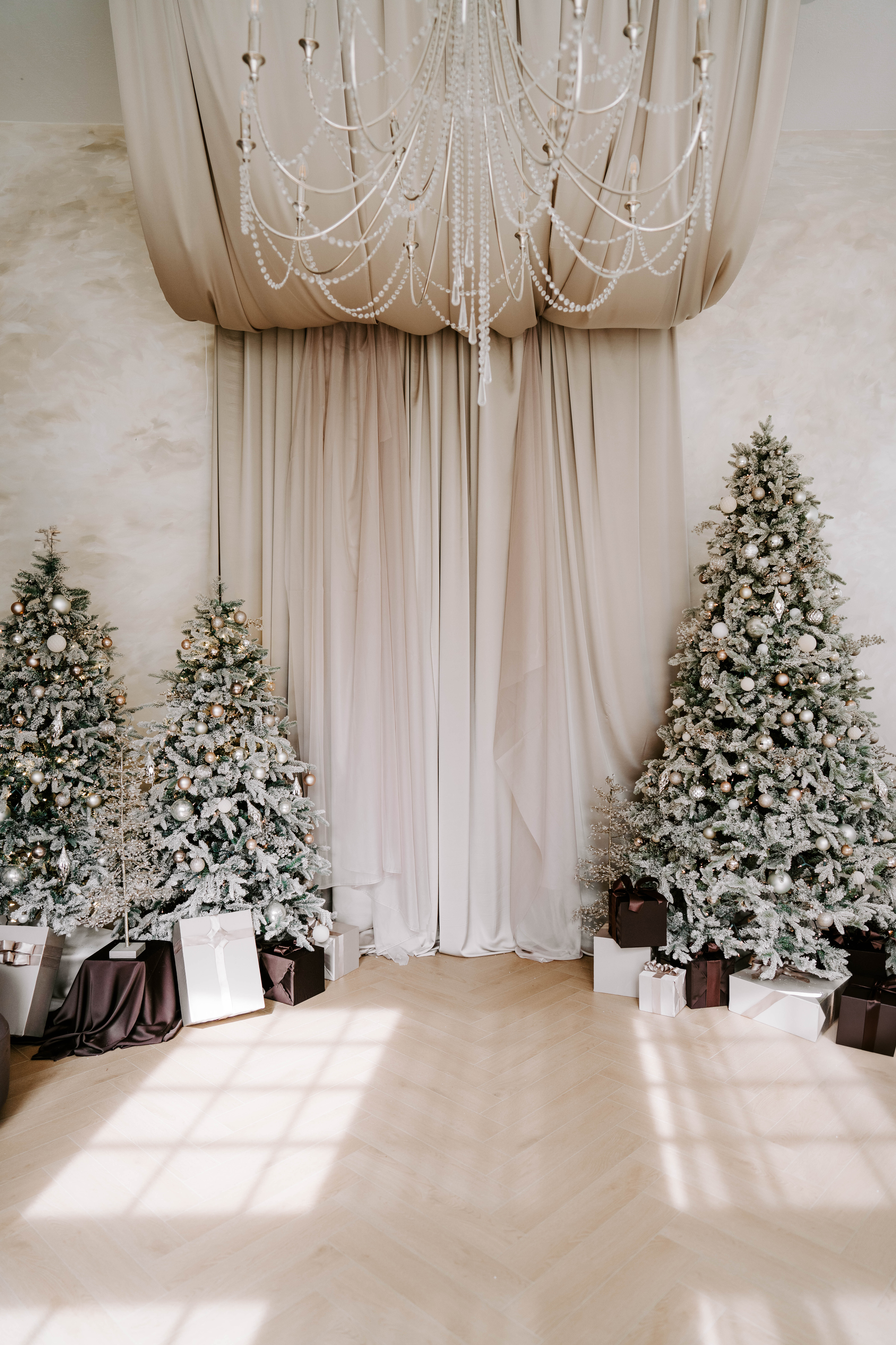Family holiday portrait in our Houston studio
