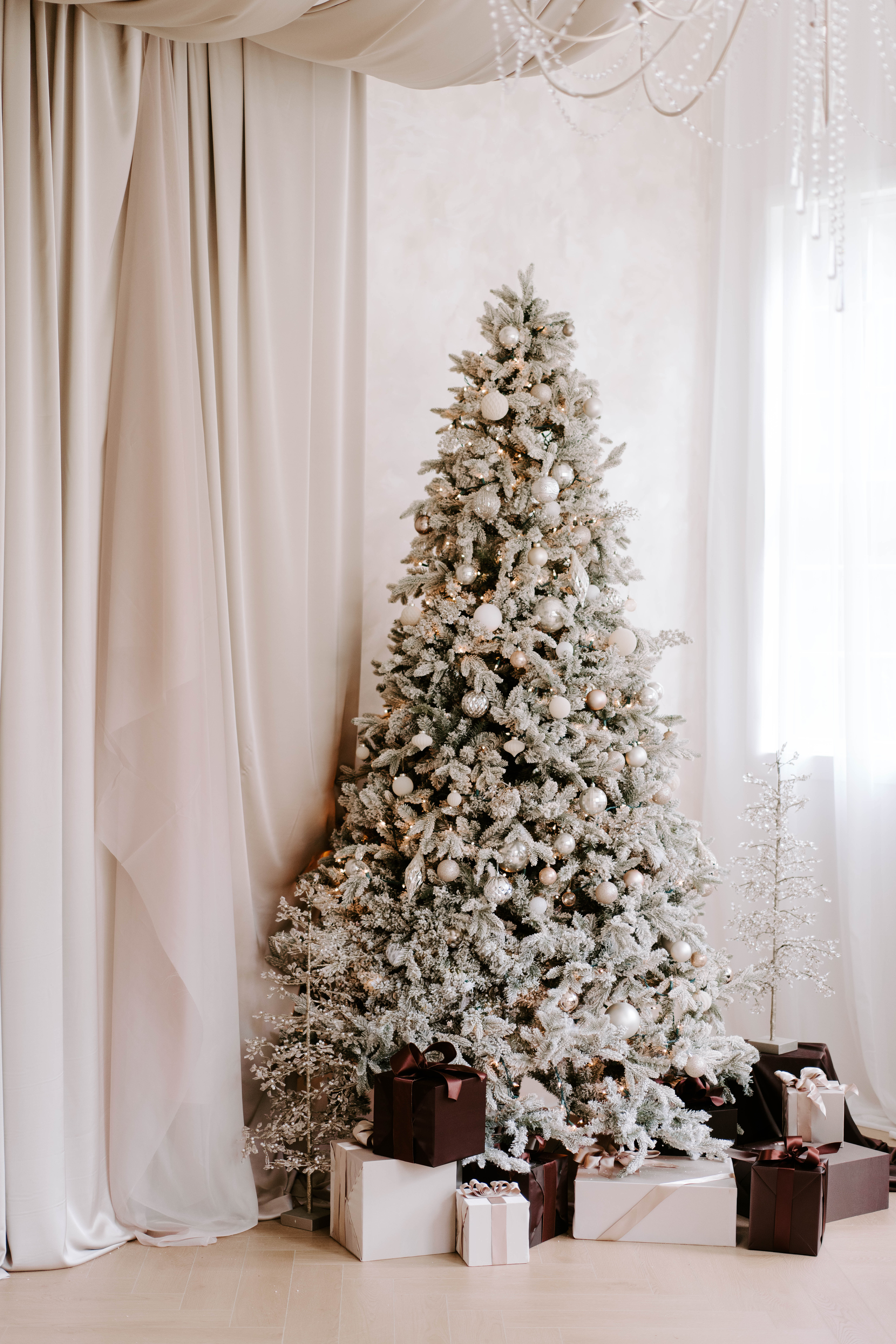 Family holiday portrait in our Houston studio