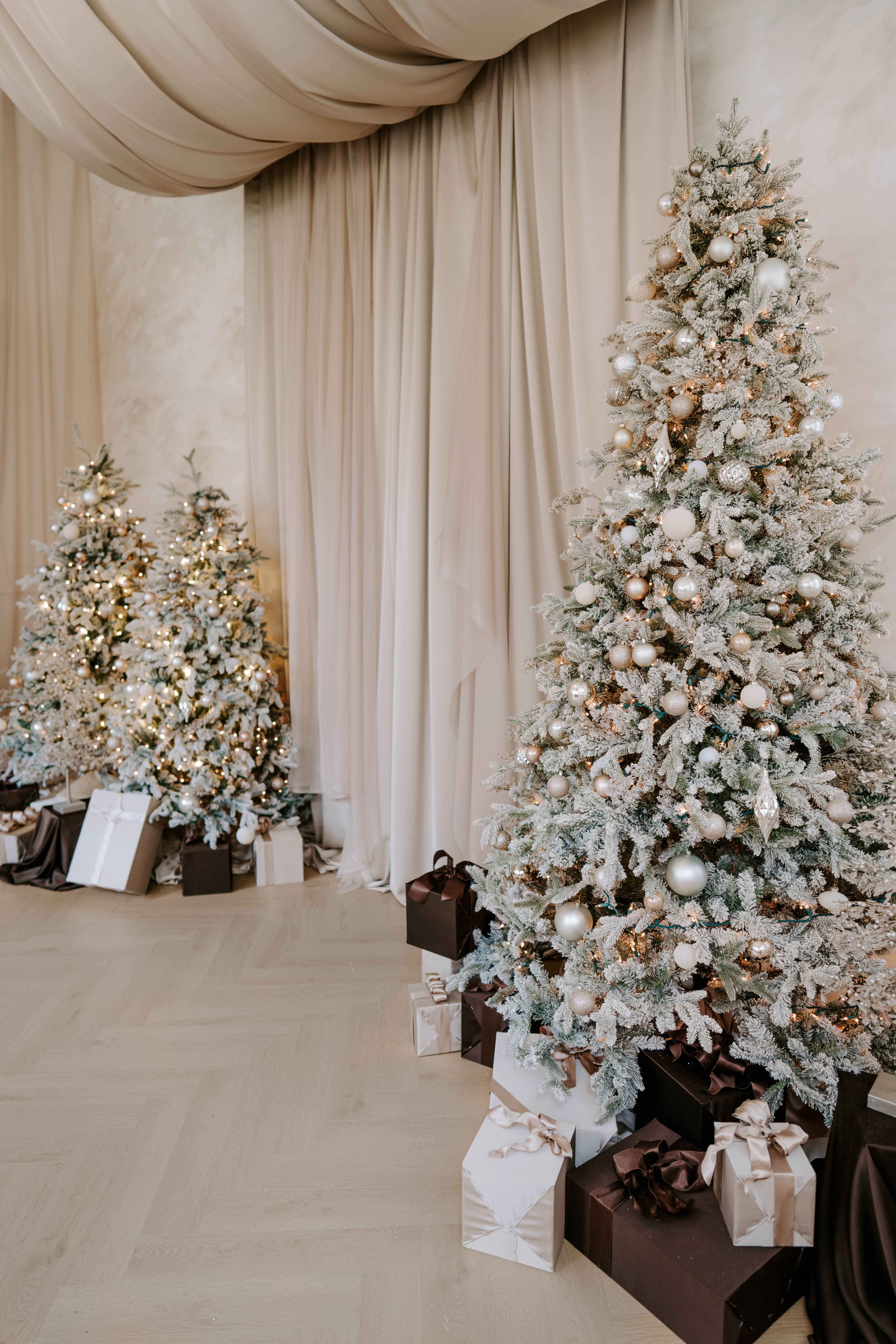 Family holiday portrait in our Houston studio